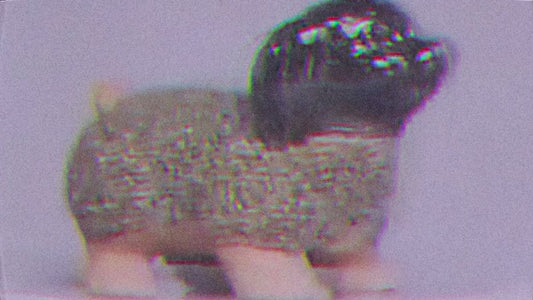 ALBUM: "Always, Already"